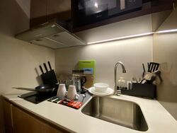 Mount Elizabeth Link (D9), Condominium #466085501